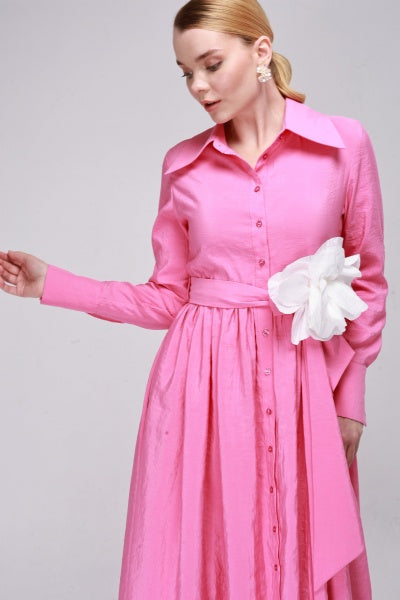 Shirt collar dress with belt